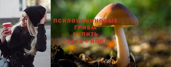 метадон Михайлов