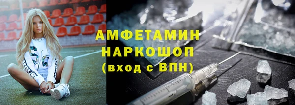 сатива Арсеньев